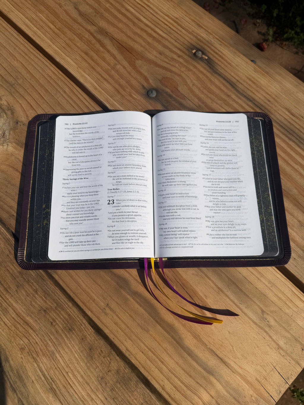 BSB Second Edition (Violet Pueblo)
