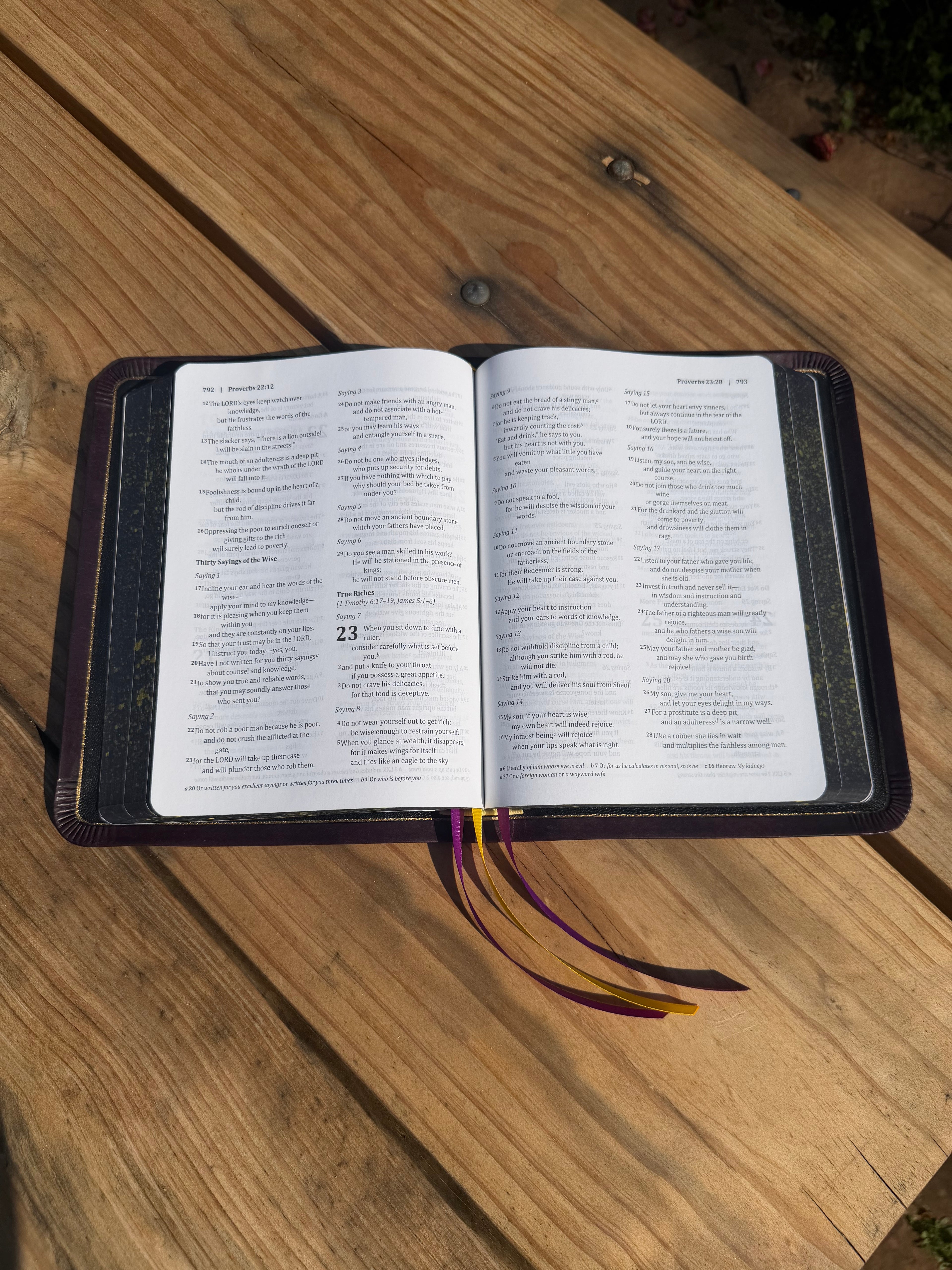BSB Second Edition (Violet Pueblo)