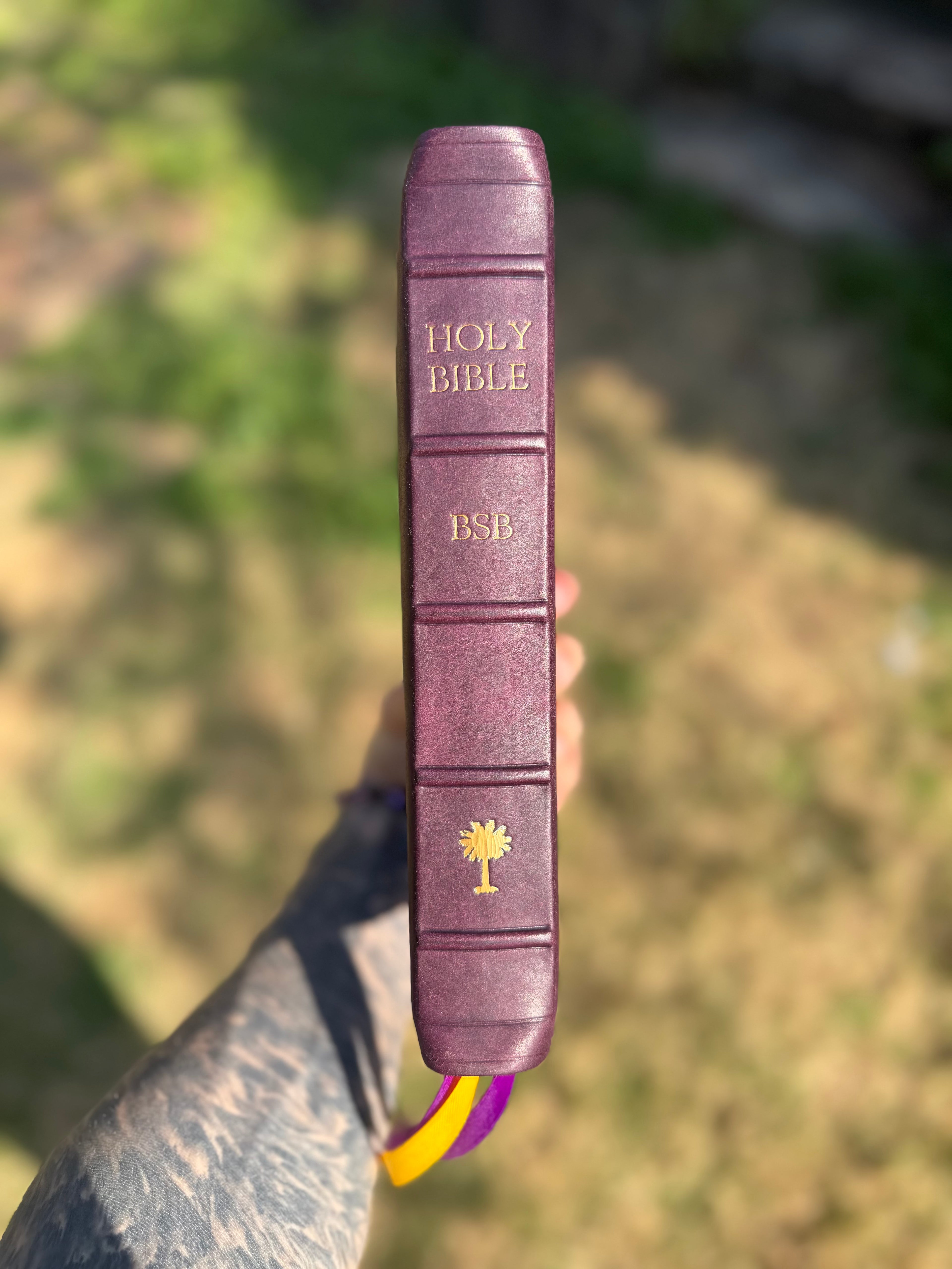 BSB Second Edition (Violet Pueblo)