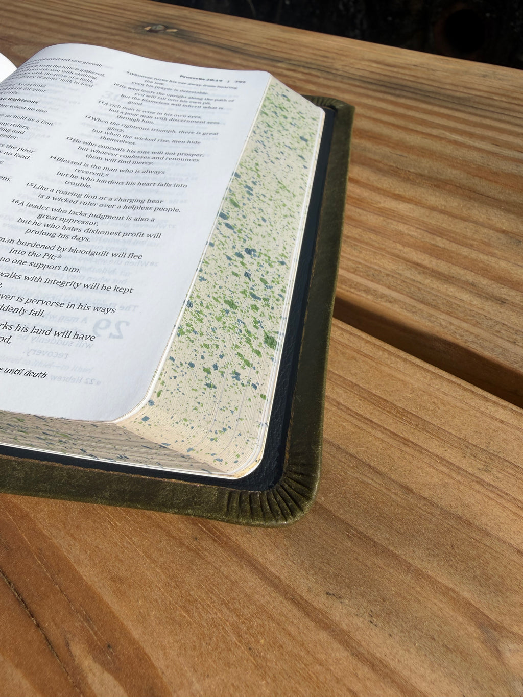 BSB Second Edition (Olive Pueblo)