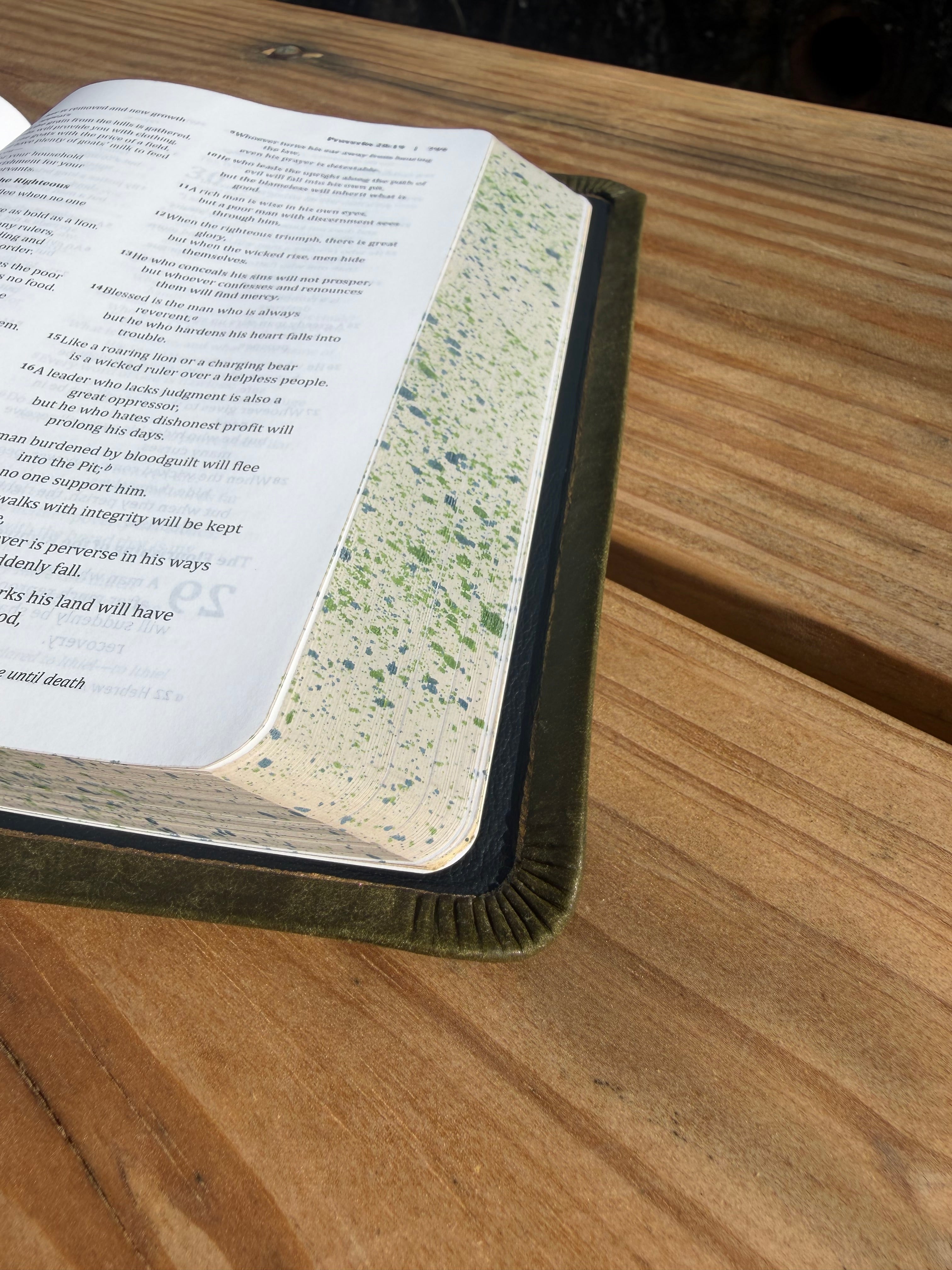 BSB Second Edition (Olive Pueblo)