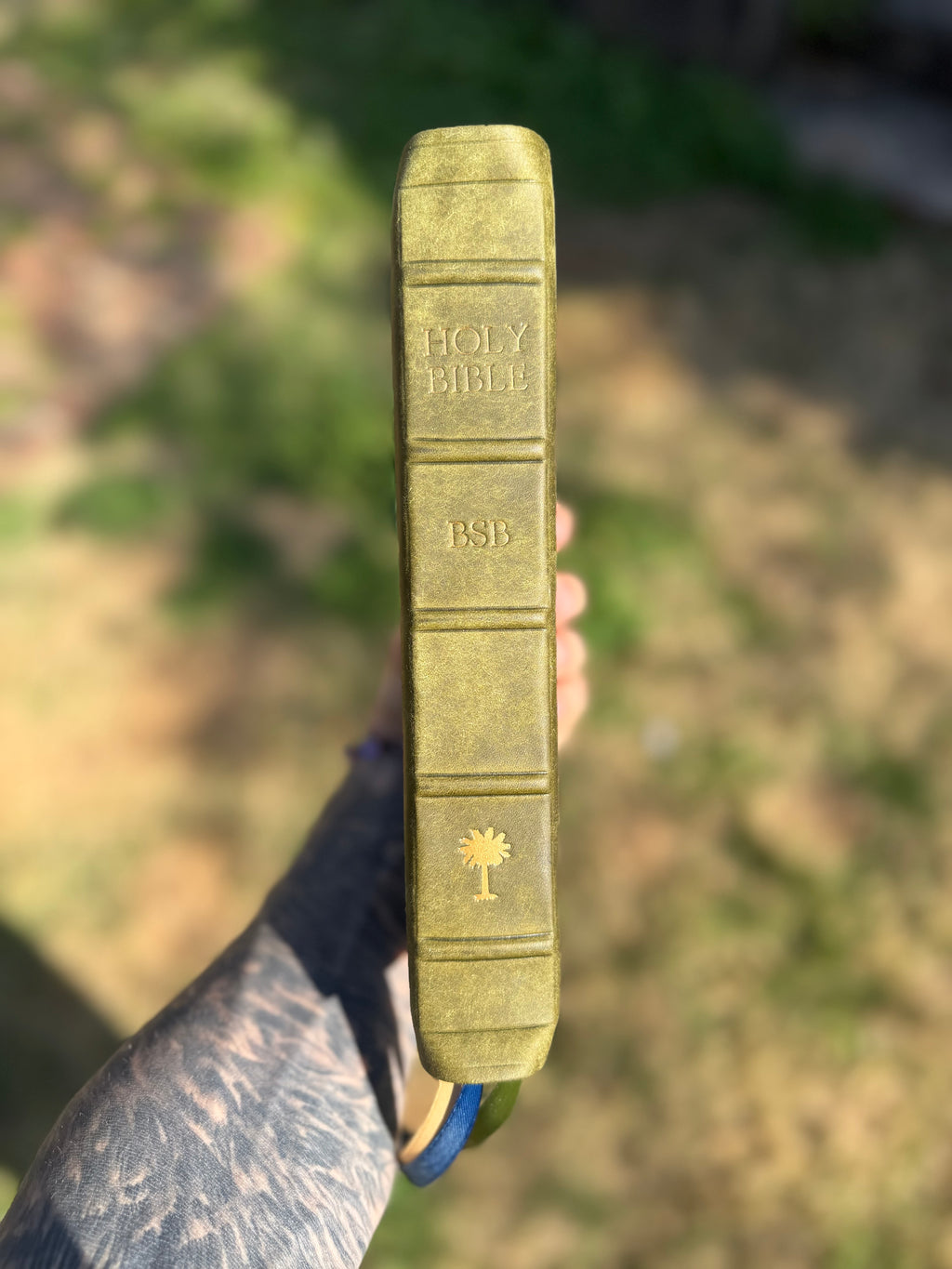 BSB Second Edition (Olive Pueblo)